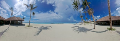 A panoramic view of a white sandy beach framed by lush green palm trees under a deep blue sky in Guadeloupe.
