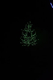 A glowing tree of light standing against a deep charcoal background, symbolizing a portal.