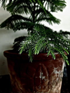 Close-up of a 3D printed pot with a smooth finish and a small green plant inside, highlighting texture details