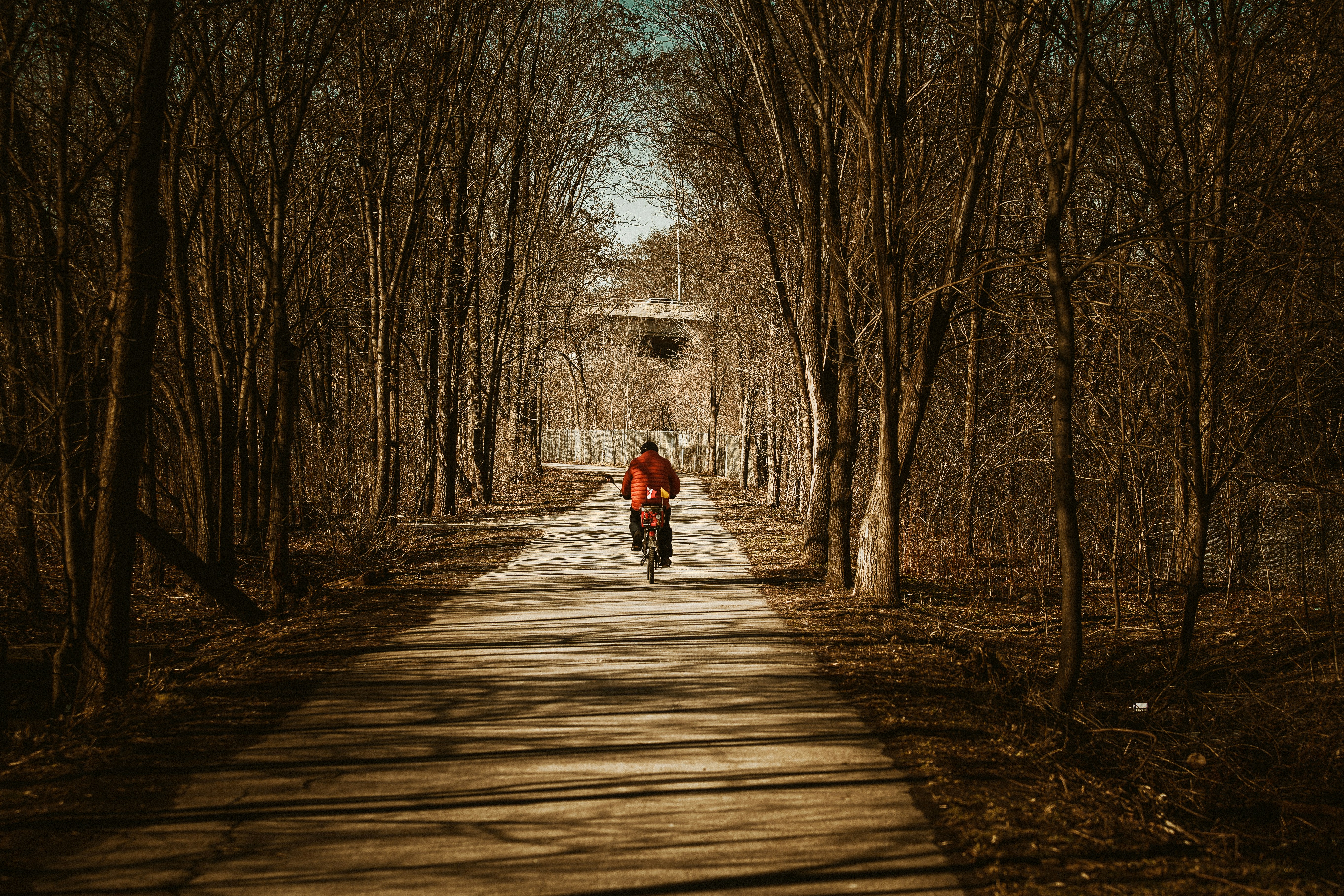a person riding a bike down a tree lined road