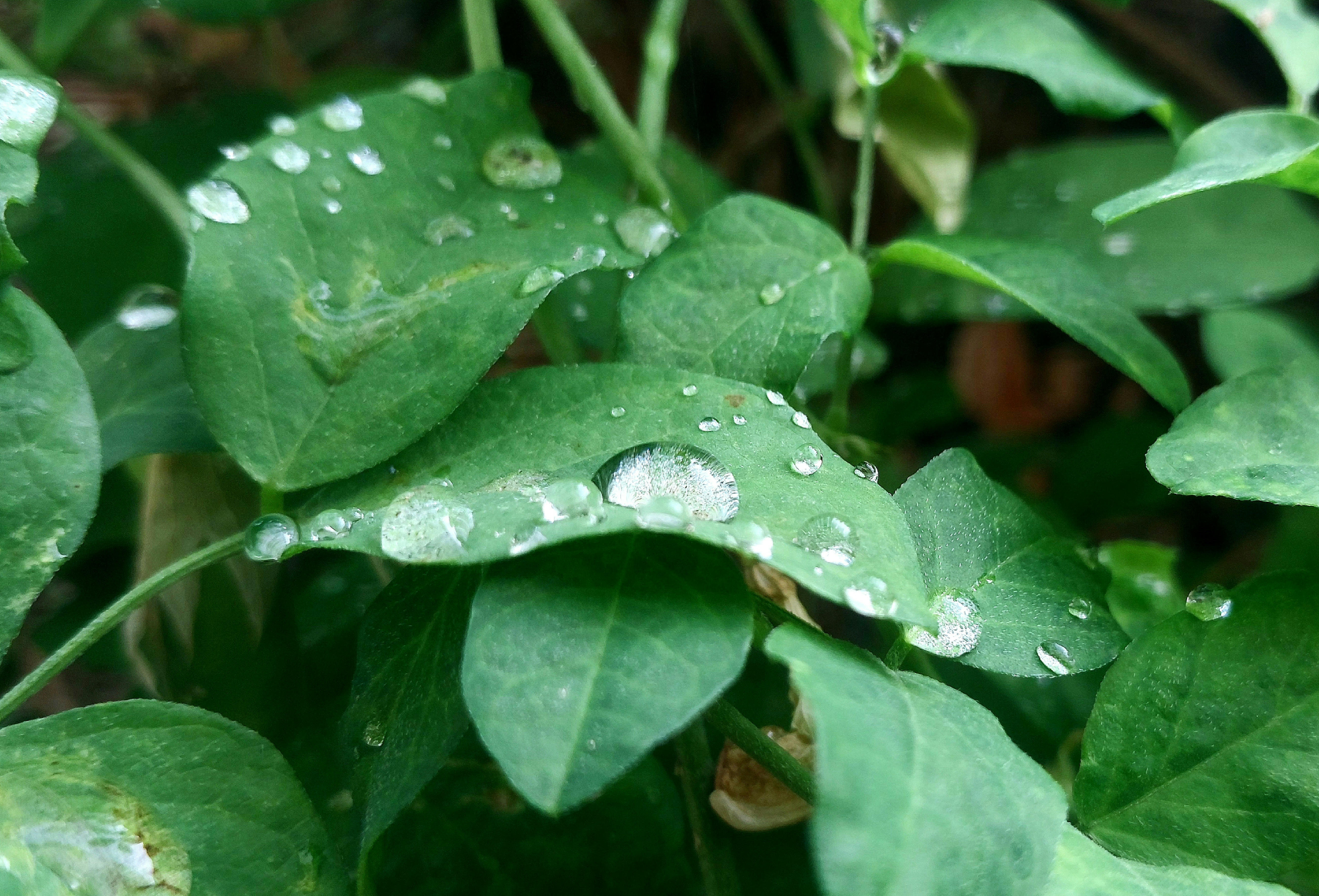 Photo by therainbowman