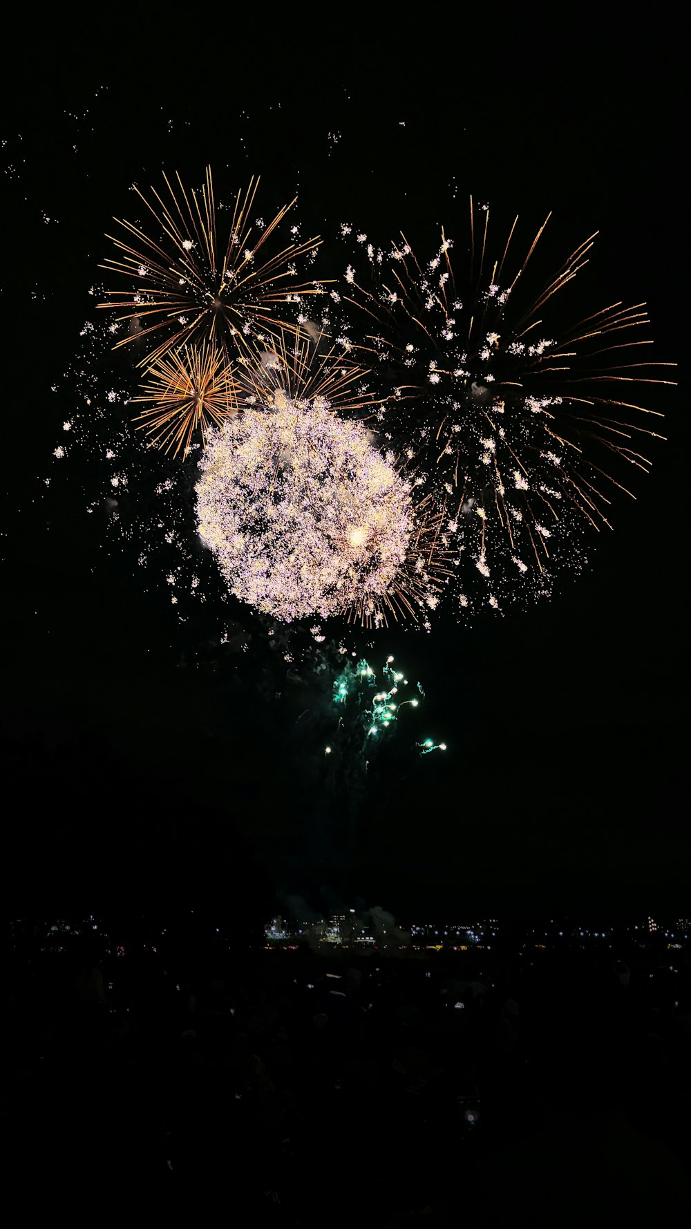 a large fireworks is lit up in the night sky