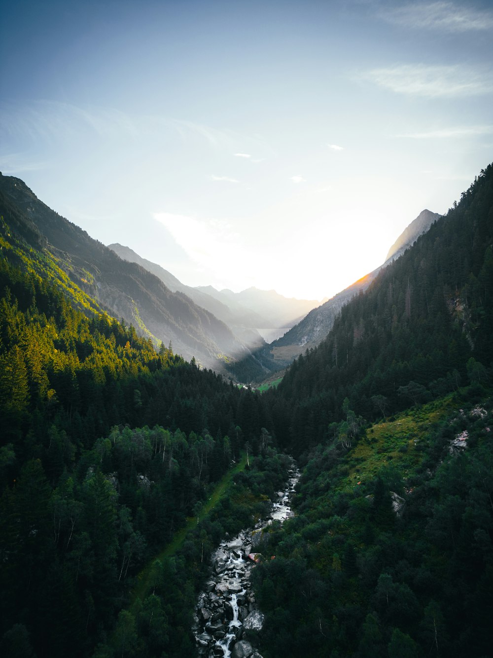 a river running through a lush green forest