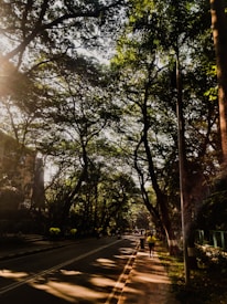 Tree-lined streets with couples and families strolling peacefully under dappled sunlight.