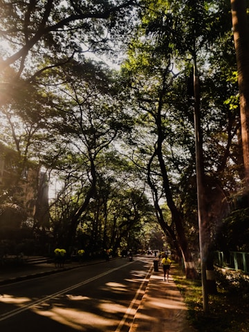 Tree-lined streets with couples and families strolling peacefully under dappled sunlight.