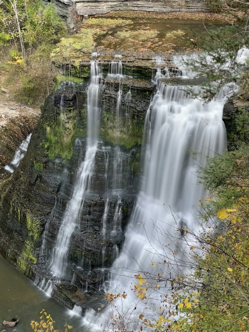 a waterfall in the middle of a forest