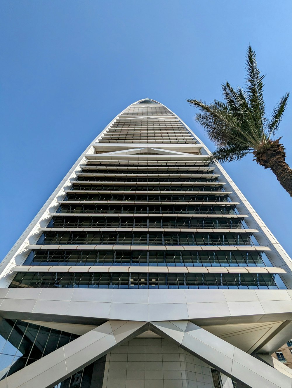 un edificio alto con una palmera frente a él