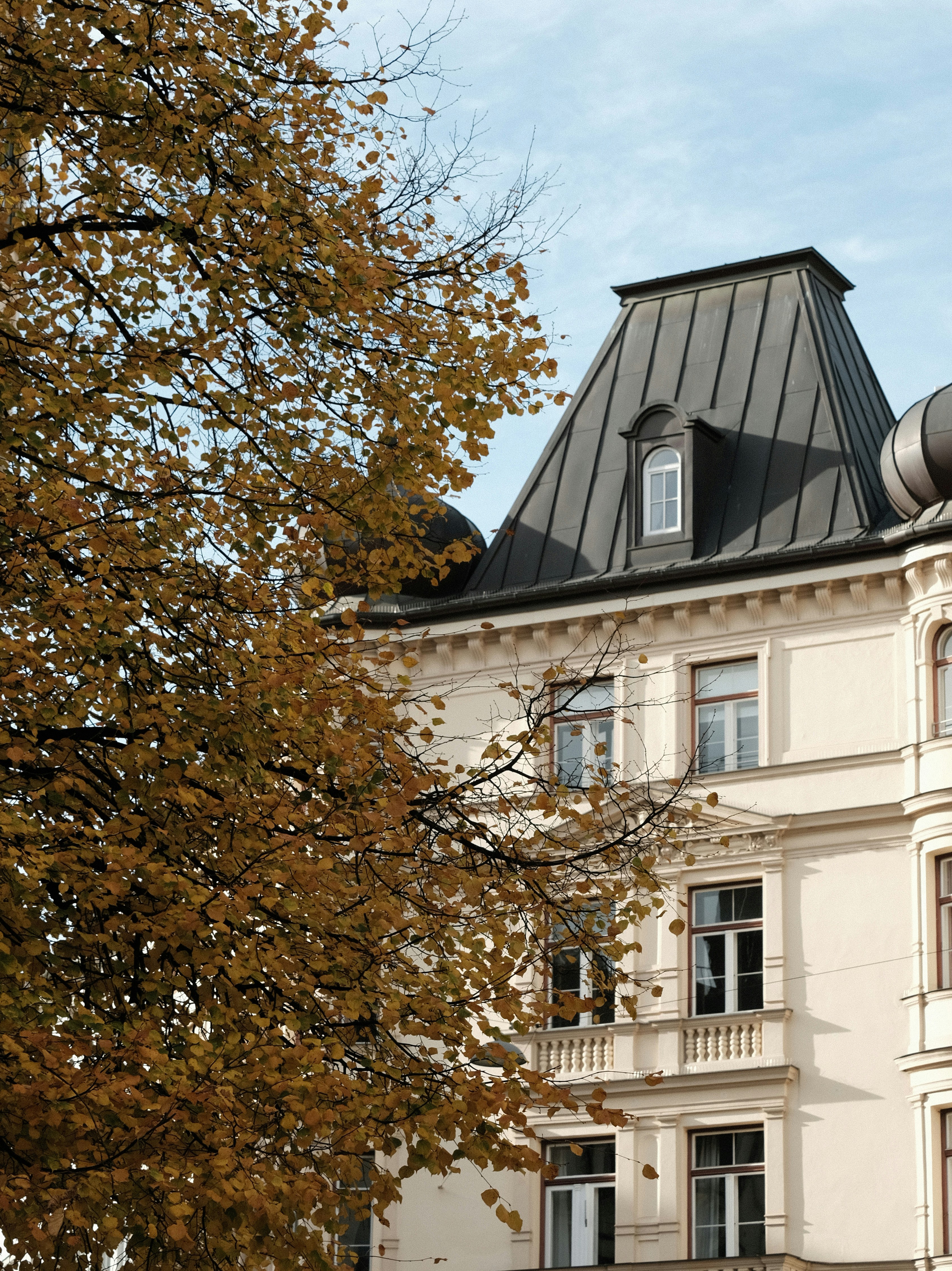 Photo by forest_tales