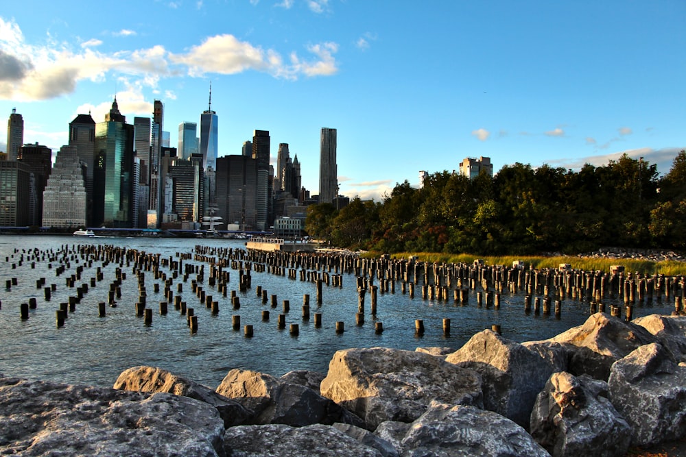 a large body of water next to a large city