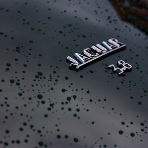 Jaguar Aluminum