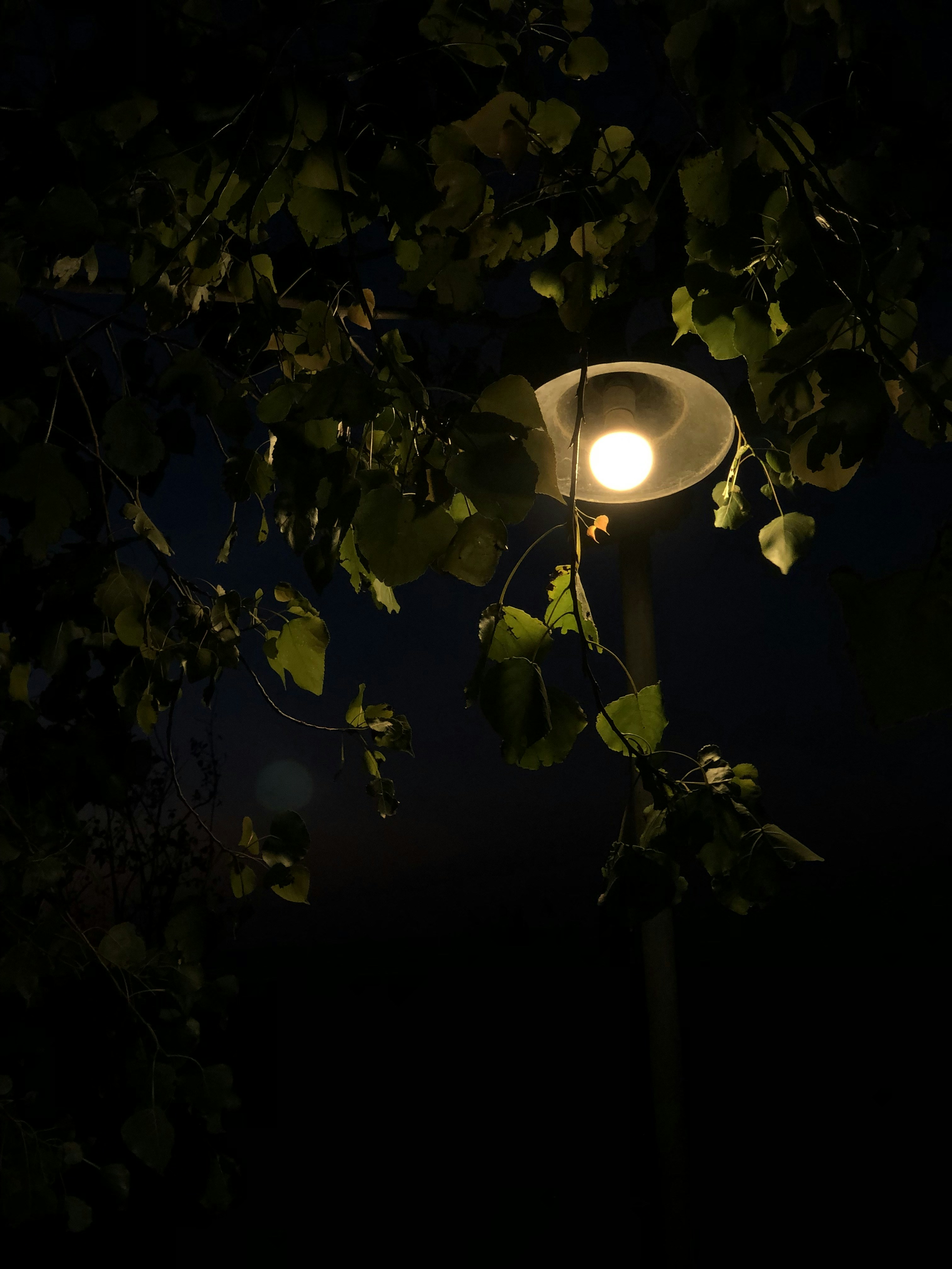 Photo by miladmohsenpour