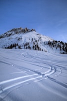 Close-up of fresh powder snow with ski tracks weaving through a pine forest.