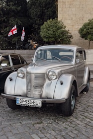 Happy tourists exploring Georgian landscapes with a rented car.