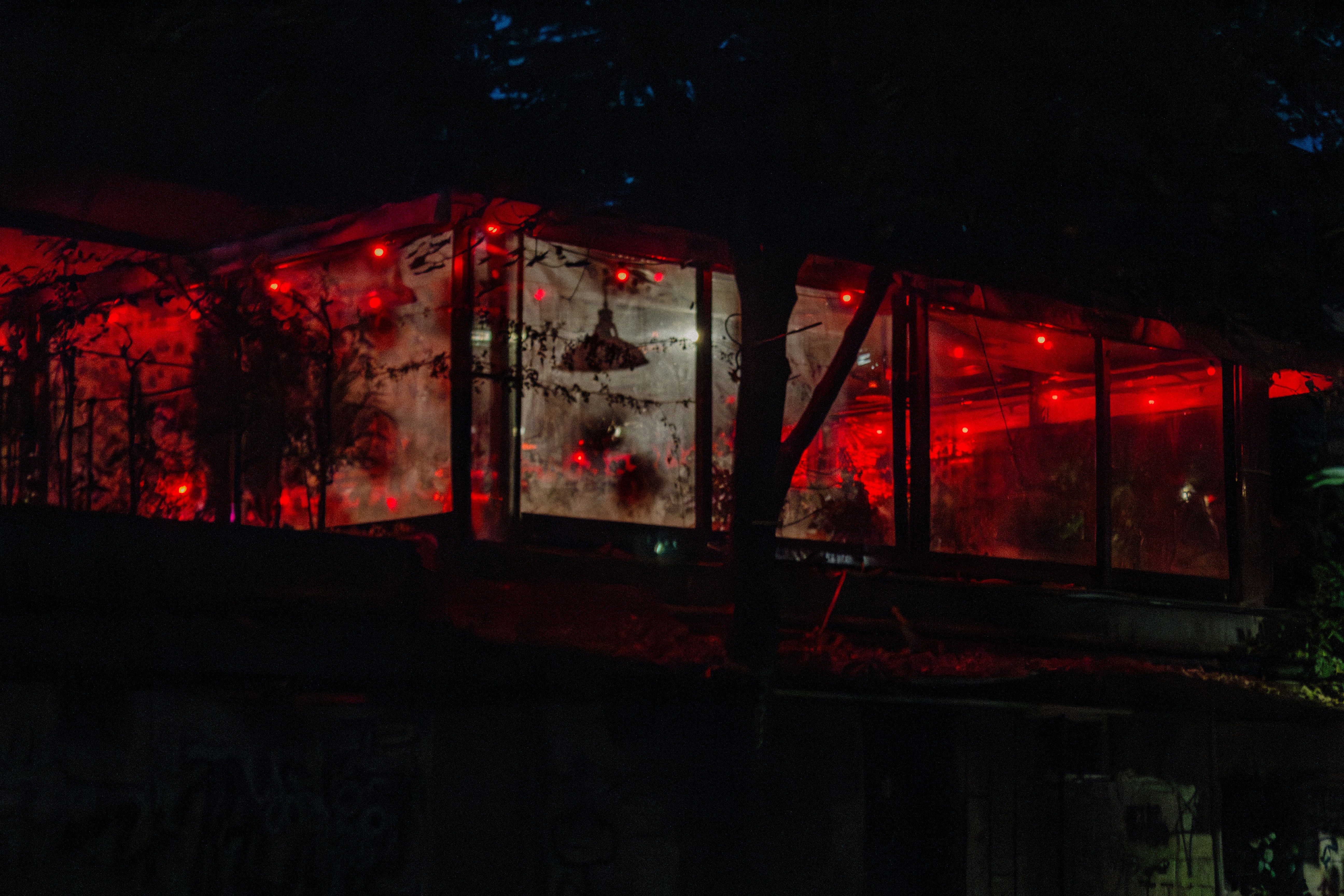 A Frustrated Team Member Looking At A Computer Screen