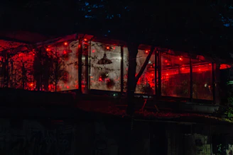 A cozy dark botanical greenhouse corner with lush carnivorous plants glowing under soft amber lights.