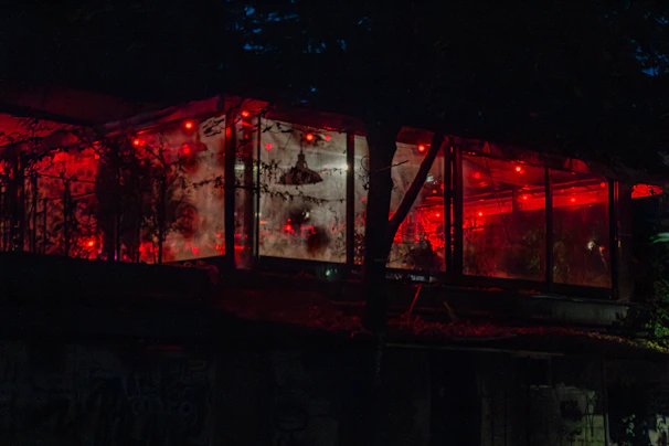 A cozy dark botanical greenhouse corner with lush carnivorous plants glowing under soft amber lights.