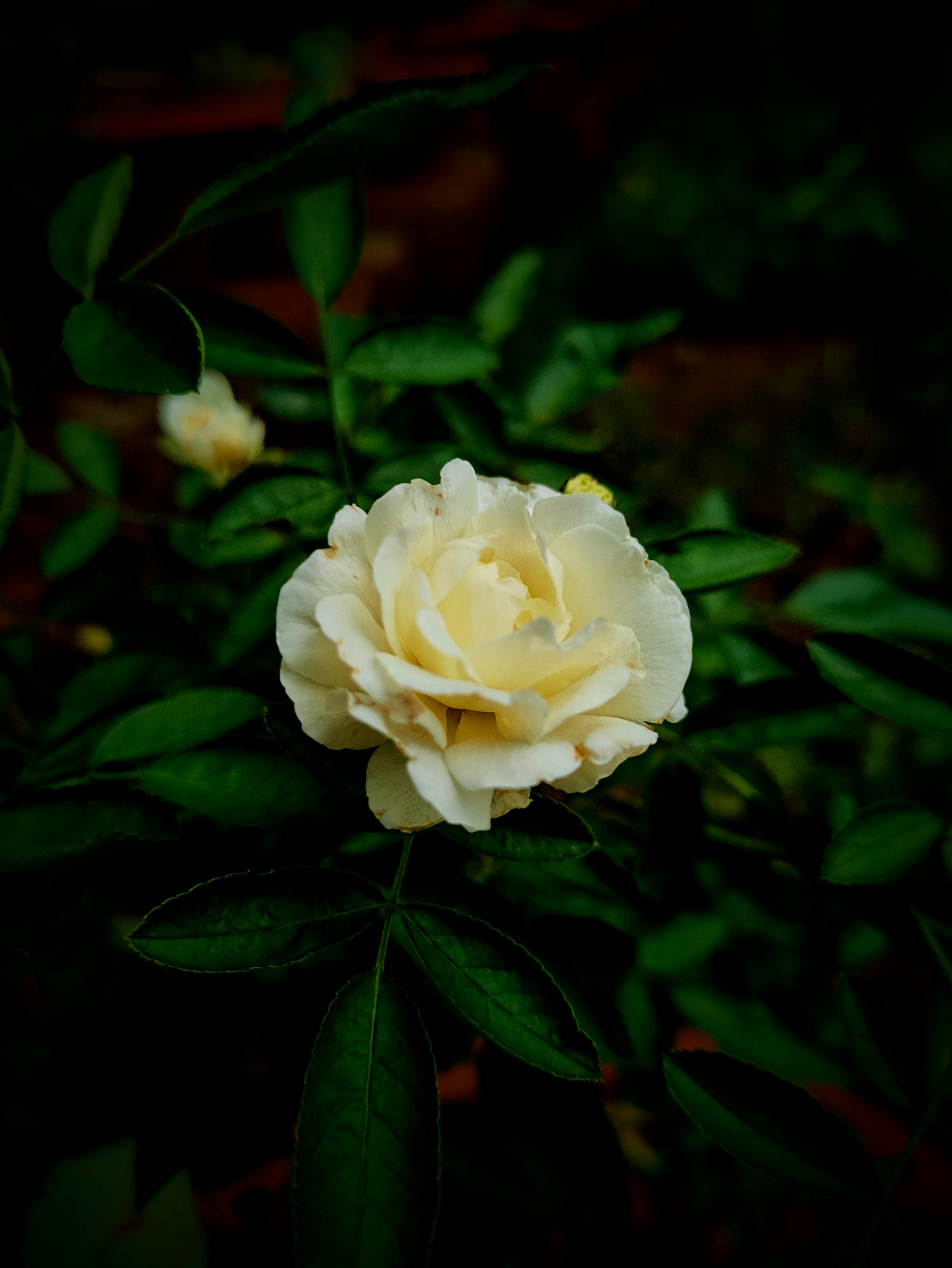 Photo by ___mrvillain69