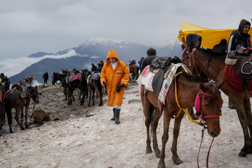 a group of people standing around a group of horses