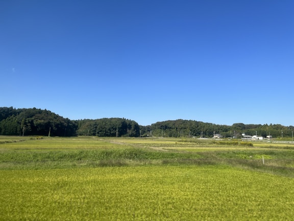 Green open plots with clear boundary markings under a bright blue sky in Gurugram outskirts.