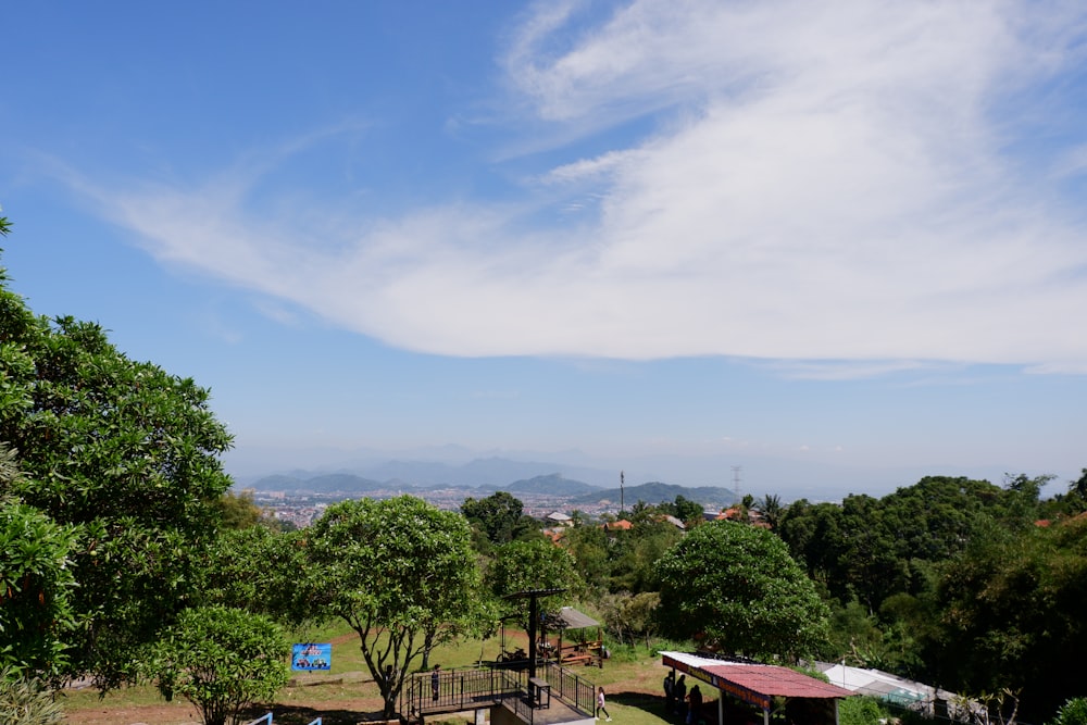 a view of a park from a hill