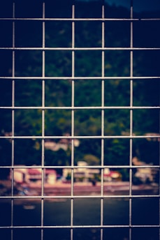 A metal grid fence is in sharp focus, with a blurred background of greenery and a riverbank, suggesting a scenic view that is obscured.