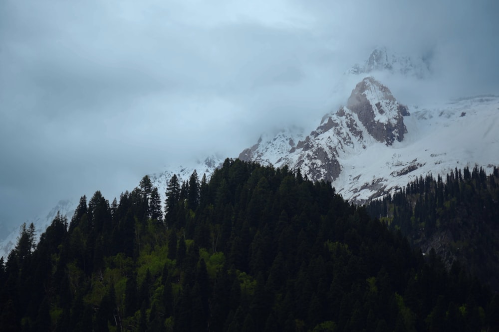 a mountain covered in snow and trees under a cloudy sky