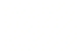 blank white image