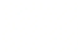 blank white image