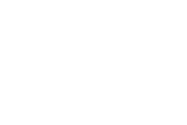 blank white image