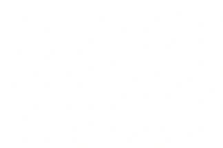 blank white image