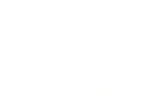 blank white image