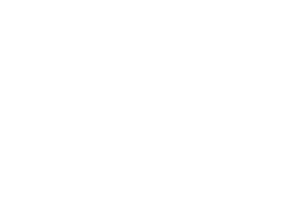 blank white image