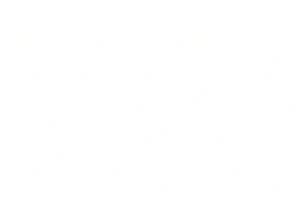 blank white image