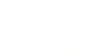 blank white image