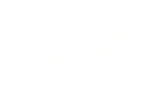 blank white image