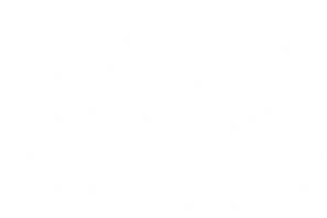 blank white image