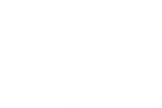 blank white image