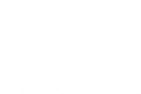 blank white image