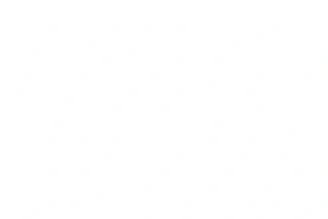blank white image