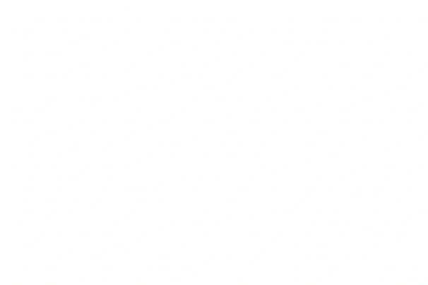 blank white image