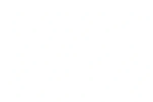blank white image
