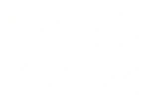 blank white image