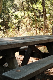 A compact folding table arranged outdoors for a picnic with friends, surrounded by nature.
