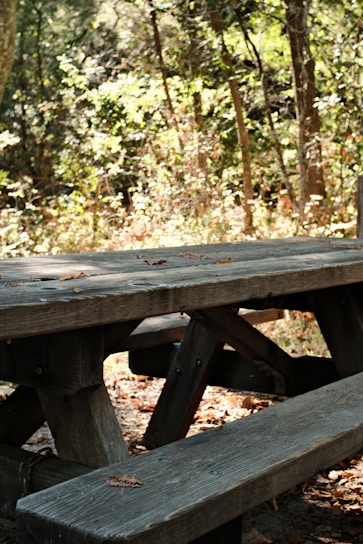 A compact folding table arranged outdoors for a picnic with friends, surrounded by nature.