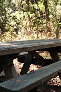 A portable picnic table set with colorful dishes on a sunny forest clearing