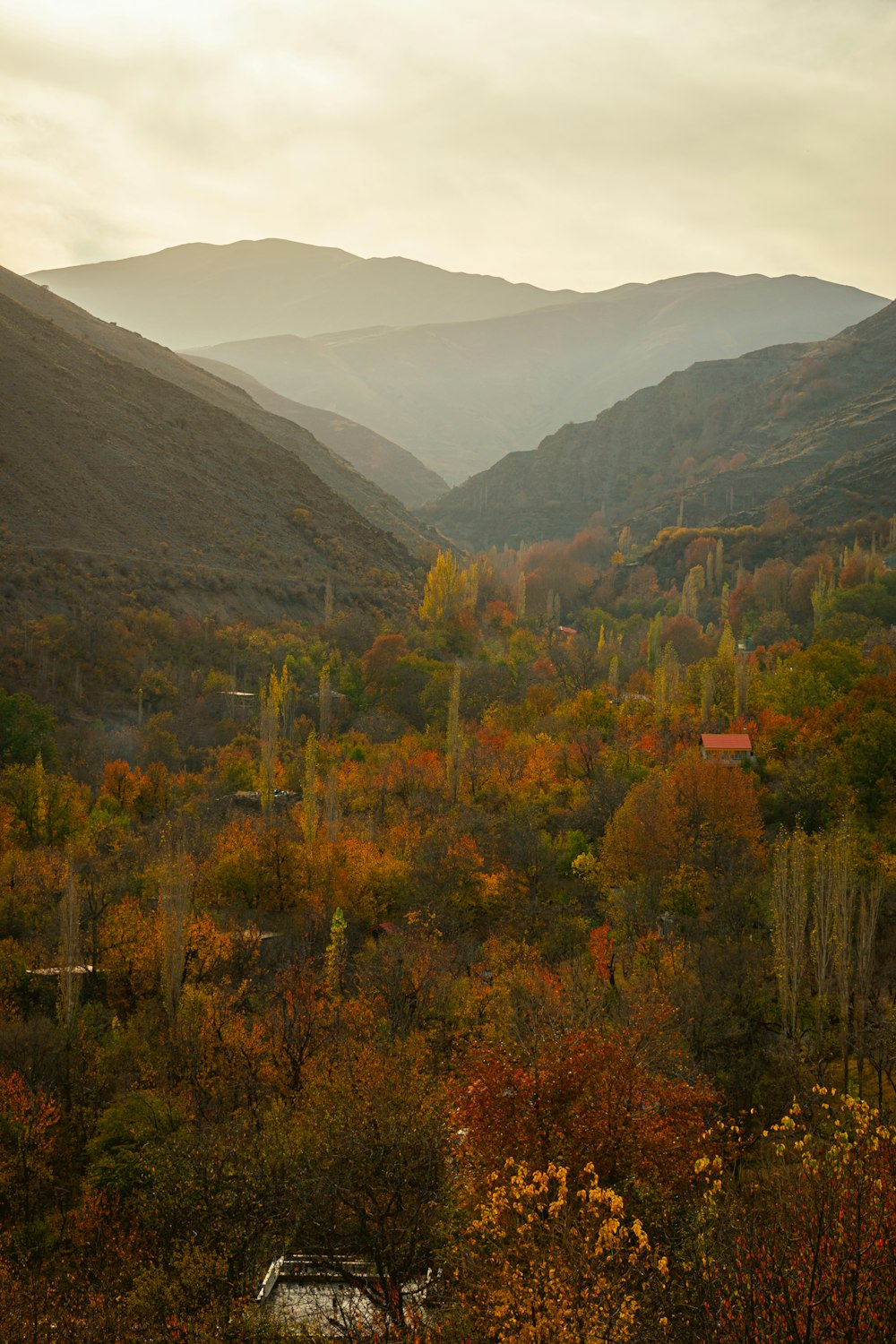 a view of a valley with mountains in the background