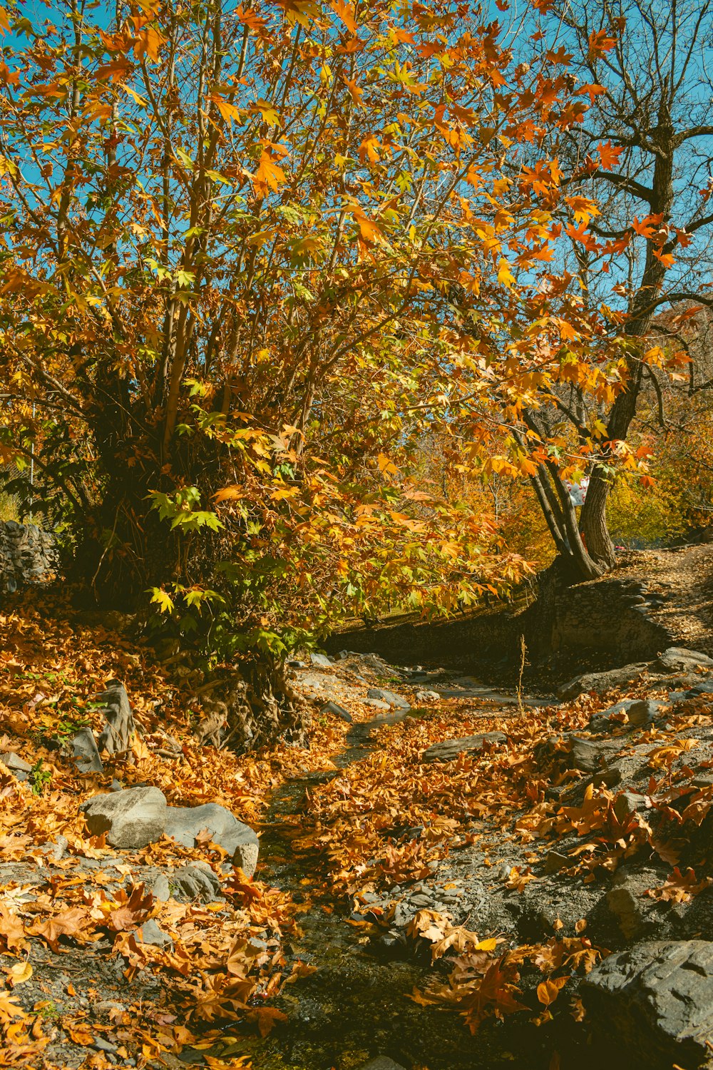 a man sitting on a bench in the woods