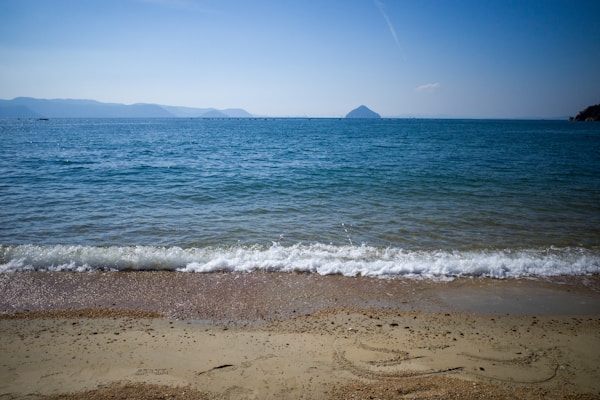 Exploring Kagawa's Authentic Cuisine: Dishes, Restaurants & Recipes