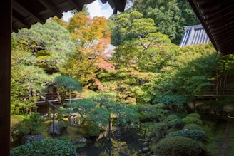 A serene Japanese garden with lush greenery, featuring a variety of trees, bushes, and a small pond. The garden is partially framed by traditional wooden architecture with visible roof tiles. Chains hang from the eaves, possibly as rain chains, complementing the tranquil setting.