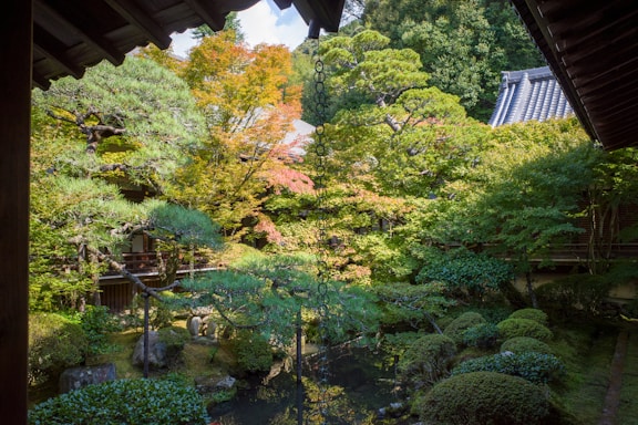 A serene Japanese garden with lush greenery, featuring a variety of trees, bushes, and a small pond. The garden is partially framed by traditional wooden architecture with visible roof tiles. Chains hang from the eaves, possibly as rain chains, complementing the tranquil setting.